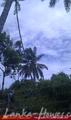 Land in Rekava beach.