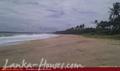 Land in Rekava beach.
