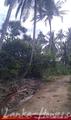 Land in Rekava beach.