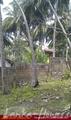 Land in Rekava beach.