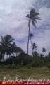 Land in Rekava beach.
