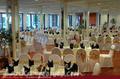 CLUB HOTEL DOLPHIN ****