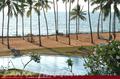 CLUB HOTEL DOLPHIN ****