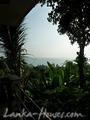 LARA s PLACE