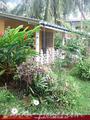 MARGARITA's House