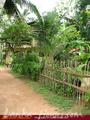 MALSHI House