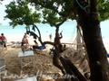 FULL MOON Resort