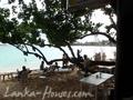 FULL MOON Resort