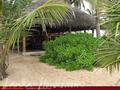 MANGROVE GARDEN and BEACH CABANAS
