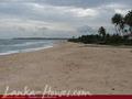 MANGROVE GARDEN and BEACH CABANAS