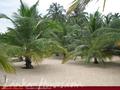 MANGROVE GARDEN and BEACH CABANAS