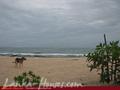 MANGROVE GARDEN and BEACH CABANAS