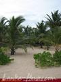 MANGROVE GARDEN and BEACH CABANAS