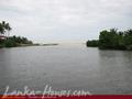 MANGROVE GARDEN and BEACH CABANAS