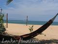 MANGROVE GARDEN and BEACH CABANAS
