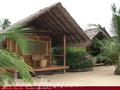 MANGROVE GARDEN and BEACH CABANAS