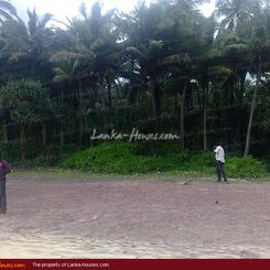 Private beach land in Ahangama. 25 perch.