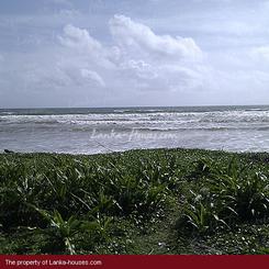 Beach land with old house.