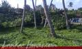 Beach land in Ahangama