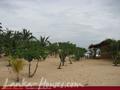 IBIS Guesthouse