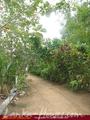 IBIS Guesthouse