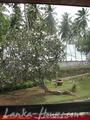 NUGASEWANA EDEN Guesthouse