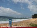 BLUE MOON Guesthouse