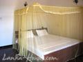 BLUE MOON Guesthouse