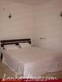 BLUE MOON Guesthouse