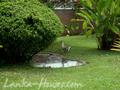 KOSGODA BEACH Hotel ****