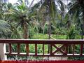 Villa on the rocks in Unawatuna.