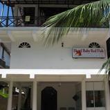 BABY RED FISH Guesthouse