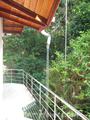 JUNGLE HOLIDAY HOME