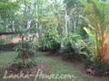 JUNGLE HOLIDAY HOME