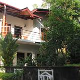 JUNGLE HOLIDAY HOME