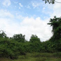 62 acre land for sale