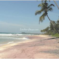 Beach land in Dikwella