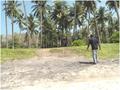 Beach land in Dikwella