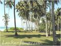 Beach land in Dikwella