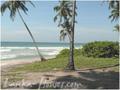 Beach land in Dikwella