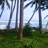 Beach Land in Ahangama. 35 perch