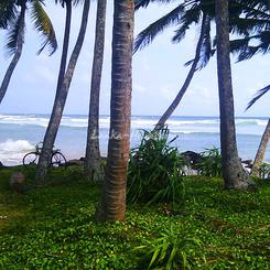 Beach Land in Ahangama. 35 perch