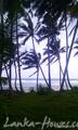 Beach Land in Ahangama. 35 perch