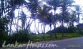 Beach Land in Ahangama. 35 perch