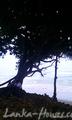 Beach Land in Ahangama city