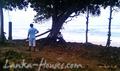 Beach Land in Ahangama city