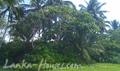 Beach Land in Talala.
