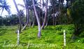 Beah Land in Ahangama