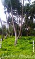 Beah Land in Ahangama