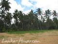 Beach land in Boosa, Rathgama